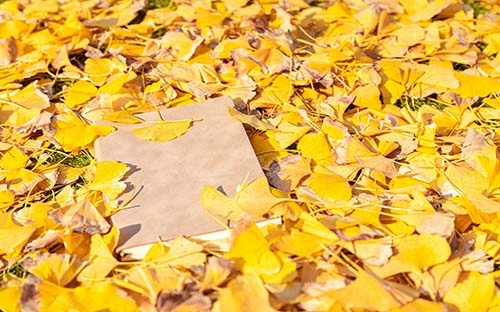 ?自考有什么報(bào)名流程？