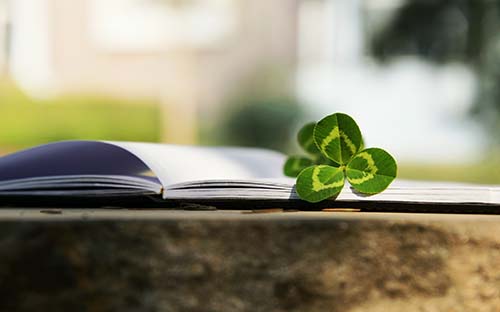 本科藥學(xué)成人高考科目有哪些？