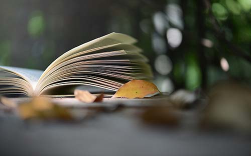 廣東省成人高考錄取通知書(shū)怎么領(lǐng)??？