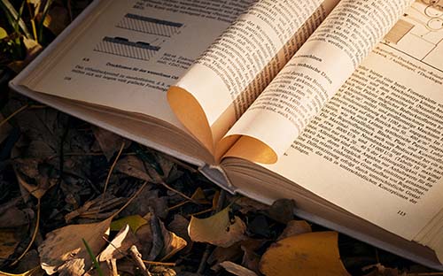 成人高考可以考專八嗎？