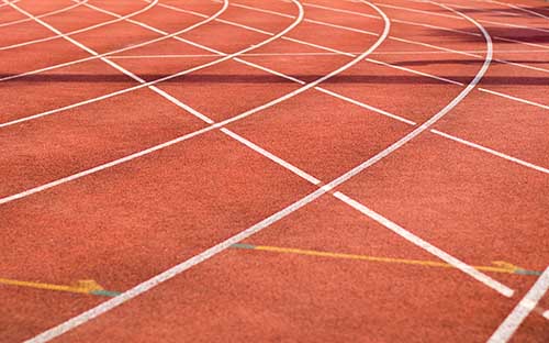 成人高考學(xué)籍什么時(shí)候錄入？