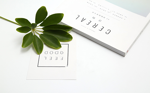 自考專業(yè)即將?？紤?yīng)該辦？