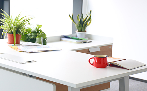 成人高考專升本怎么準(zhǔn)備？