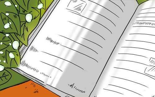 湖南成人高考錄取結(jié)果查詢？