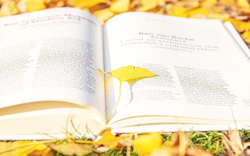 自考英語專業(yè)必須寫畢業(yè)論文嗎？