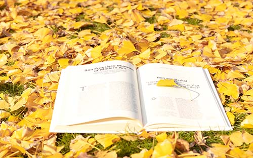 成人高考高升本有用嗎？