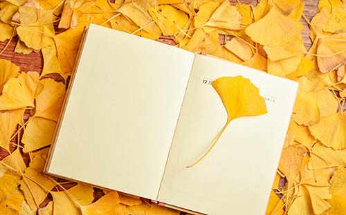 上海成人高考專(zhuān)升本難嗎？