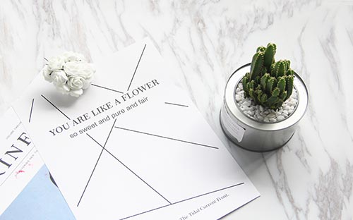 工商管理成人高考專升本考什么？