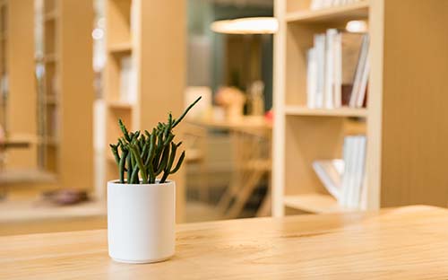 南充女生成人高考應(yīng)該選什么專業(yè)？