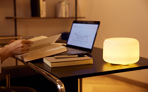 成人高考時間是什么時候？