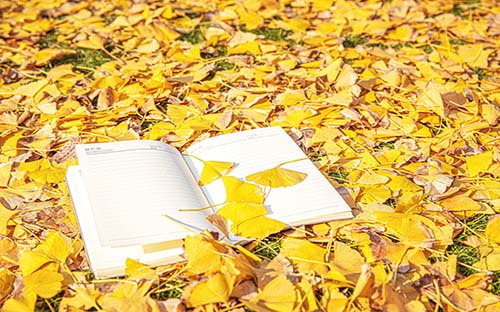 上海成人高考專升本考什么？