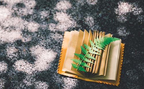 成人高考學(xué)費(fèi)什么時(shí)候繳納？