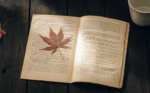 ?為什么自考行政管理是熱門專業(yè)？