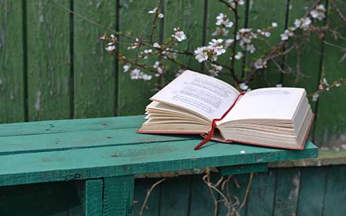 陜西成人高考報名時間是什么時候？