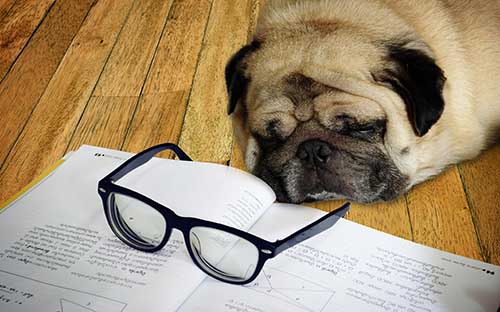 考取自考學(xué)位證書有什么條件？