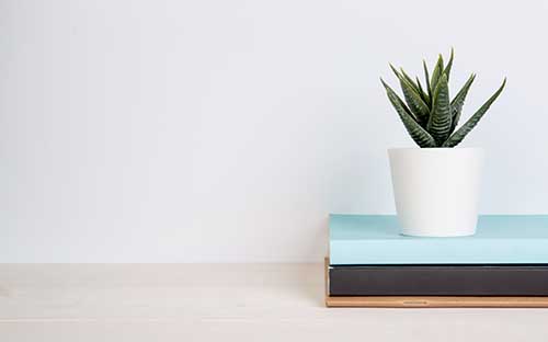 海南成人高考中藥學(xué)考試難嗎？