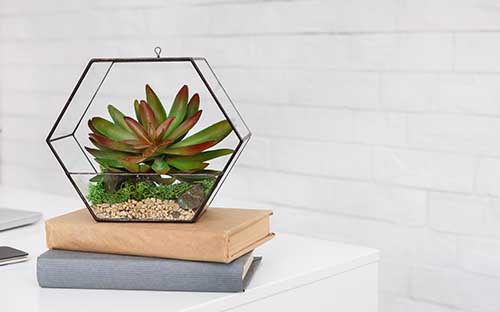 內(nèi)蒙古成人高考報名是什么時候？