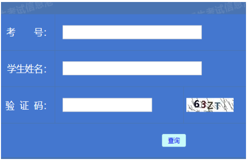 2025年黑龍江省齊齊哈爾市成人高考成績查詢時間為：11月17日起