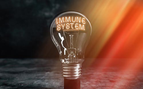 河?xùn)|成人高考檔案怎么填寫？需要去現(xiàn)場嗎？