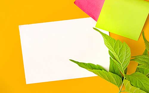 成人高考第一志愿沒(méi)錄取第二志愿會(huì)錄取嗎？學(xué)籍注冊(cè)重要嗎？