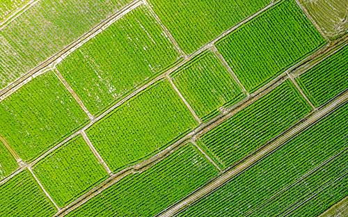 重慶成人高考報名官網(wǎng)是哪里？有哪些報名流程？