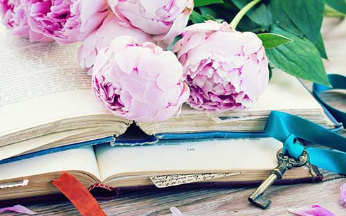 在鄭州成人高考去哪里報名？怎么報名？