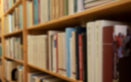 新西蘭奧塔哥大學商科學院 新西蘭奧塔哥大學商學院優(yōu)勢