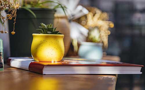 tfi和delf是什么意思，是考什么的