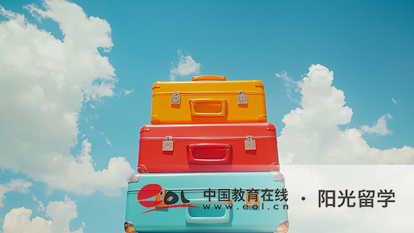 英國藝術(shù)史與理論專業(yè)研究生留學(xué)有哪些條件