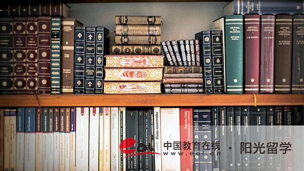報名國際本科大學什么學校比較好