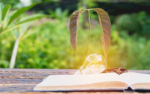 英語專業(yè)自考本科報(bào)名要求是什么？考哪些科目？