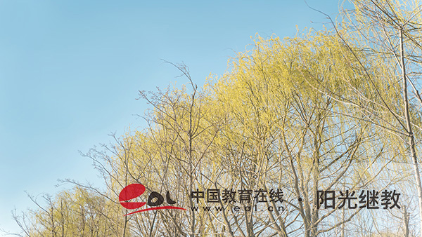 珠海自考怎么報名？推薦什么專業(yè)？